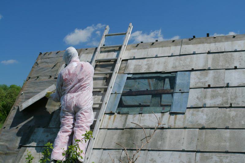 Affordable Asbestos Removal Services — cost of