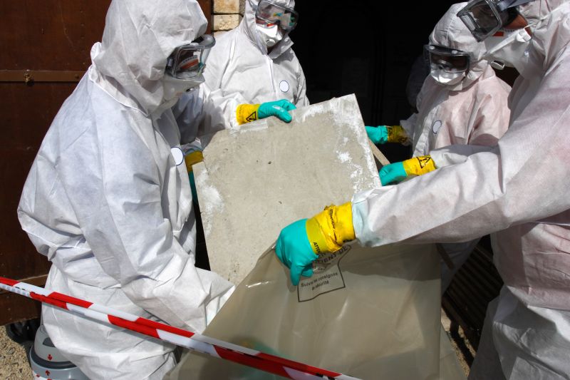 Affordable Asbestos Removal Services — cost of