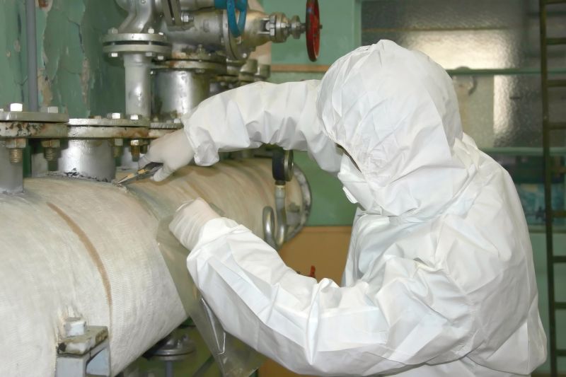 Affordable Asbestos Removal Services — cost of