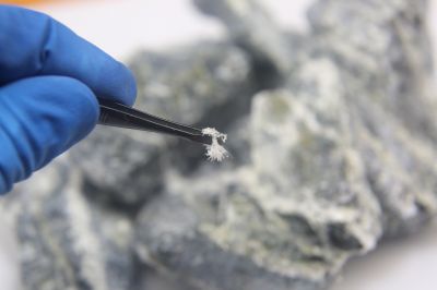 Asbestos Assessment in Essex County, NJ