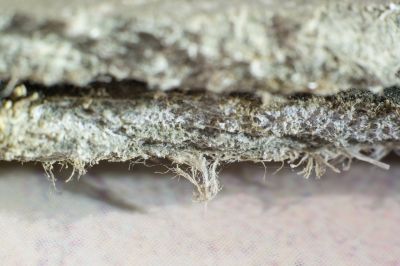 Asbestos Removal in Essex County, NJ