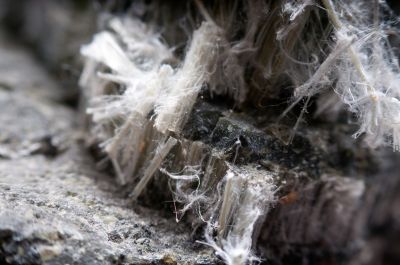 Asbestos Restoration in Freehold, NJ