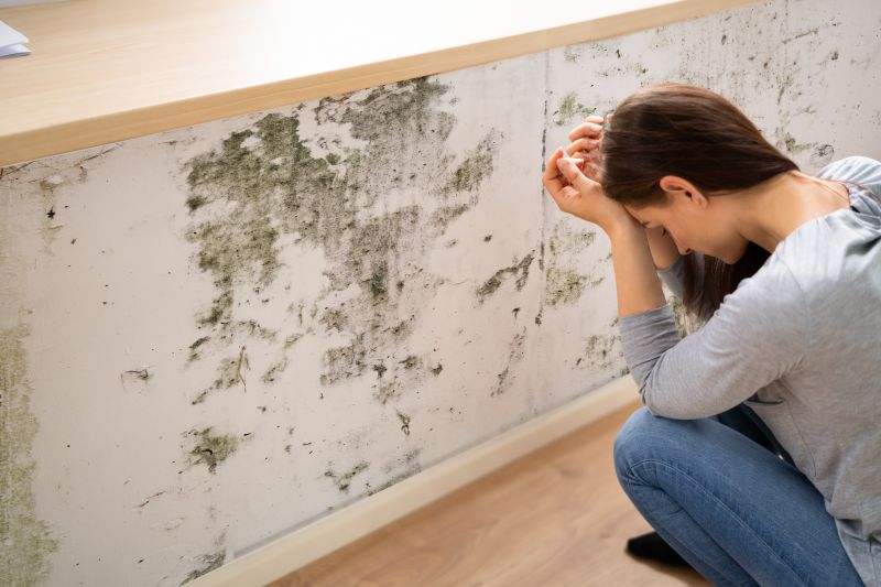 Attic Mold Removal in Bergen County, NJ