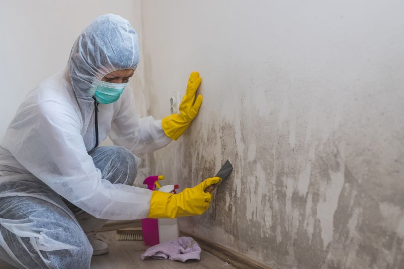Attic Mold Removal in Boca Raton, FL