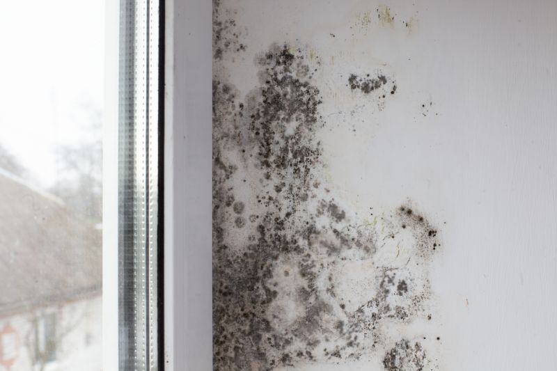Attic Mold Removal in West Palm Beach, FL