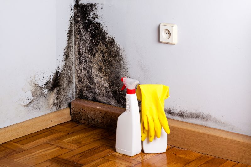 Basement Mold Remediation in Dallas, TX