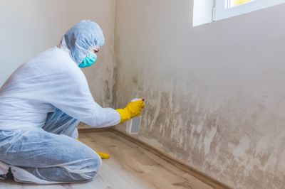 Basement Mold Removal in West Palm Beach, FL