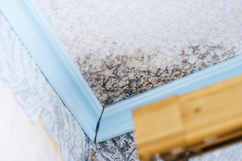 Black Mold Remediation in West Palm Beach, FL