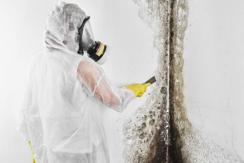 Black Mold Remediation in Dallas, TX