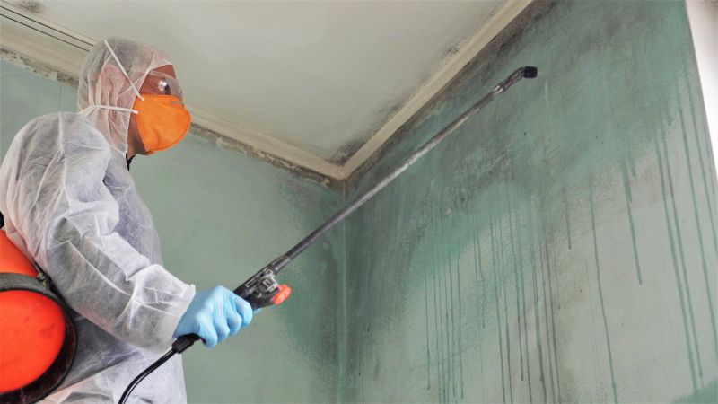 Ceiling Mold Removal in Jupiter, FL