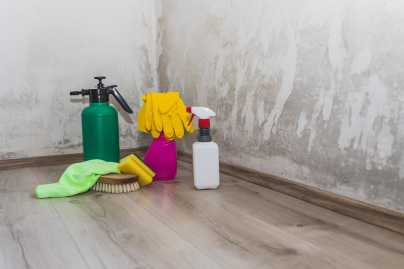 Crawlspace Mold Remediation in Dallas, TX