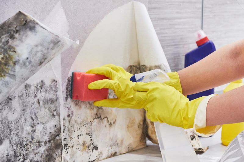 Crawlspace Mold Remediation in Fort Lauderdale, FL