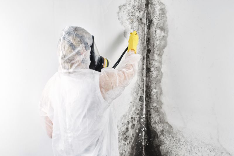 Garage Mold Remediation in Essex County, NJ
