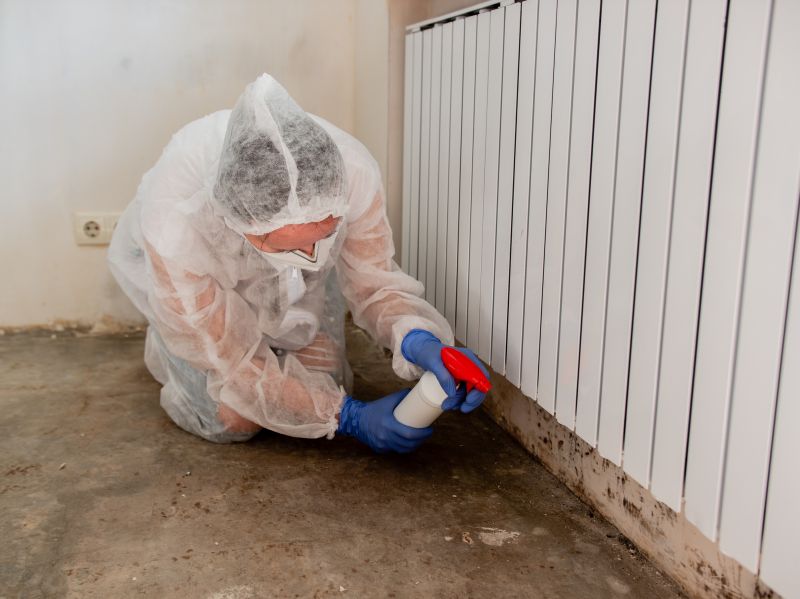 Garage Mold Remediation in Jupiter, FL