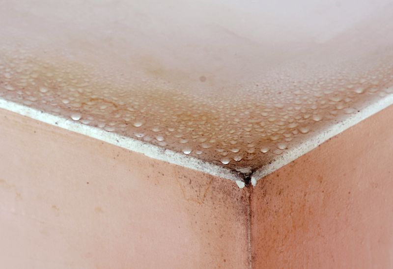 Garage Mold Remediation in Fort Worth, TX
