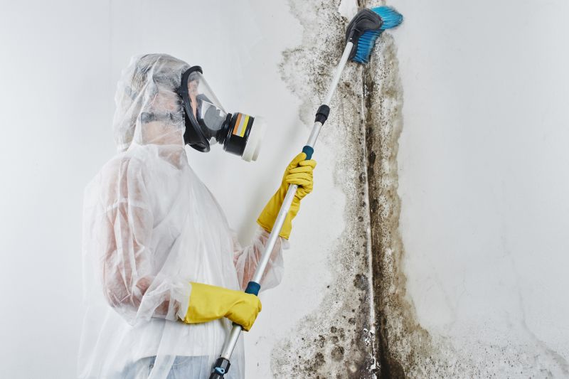 Mold Abatement Service in Essex County, NJ