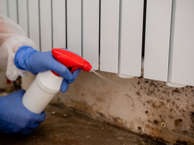 Mold Remediation Service in Broward County, FL
