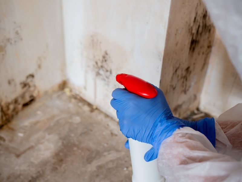 Mold Remediation Service in Fort Lauderdale, FL