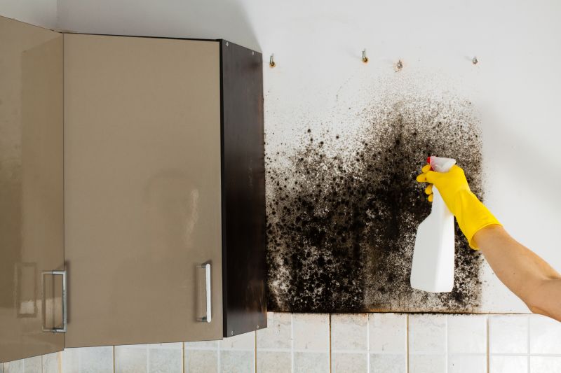 Mold Removal in Boca Raton, FL