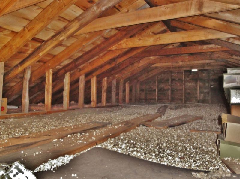 Vermiculite Remediation in Freehold, NJ