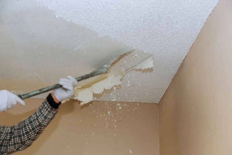 Vermiculite Removal Service in Essex County, NJ